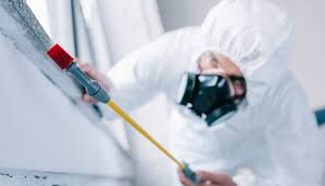 Trusted Westbury, NY Pest Control Experts